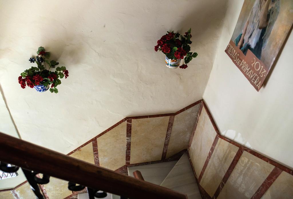 Casa de hóspedes Perez Montilla